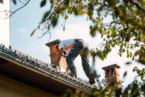 Best Roof Maintenance Services  in Keego Harbor, MI