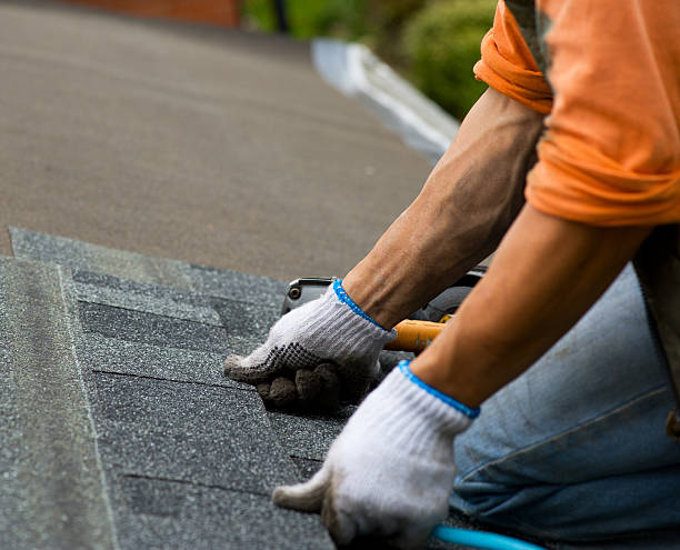 Best Storm Damage Roof Repair  in Keego Harbor, MI